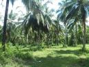 Land for sale in kurunegala, Wariyapola