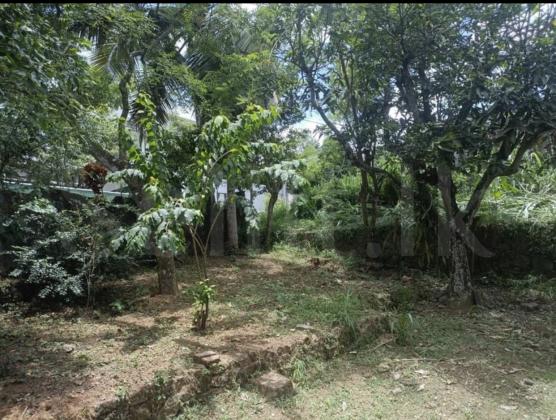 බොරලැස්ගමුව ඉඩම් විකිණීමට / Land for sale in Boralesgamuwa