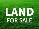 Land for sale in buttala
