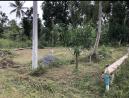 Land for sale in Kurunagala|කුරුනෑගලින් ඉතා වටිනා සහ න�