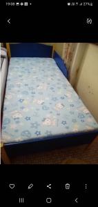 1 butterfly girl bed and 1 boy blue bed