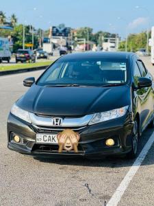 HONDA GREACE COFFEE BROWN  2014 for sale