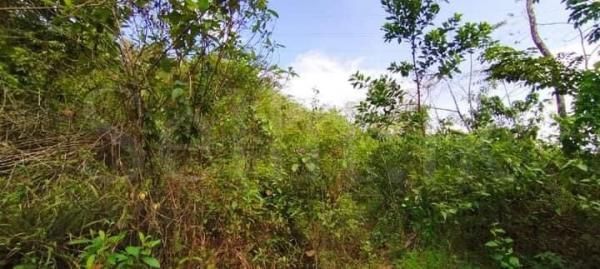 Land for sale in Awissavella