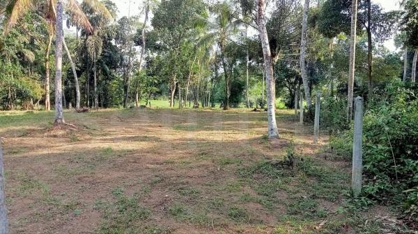 Land for sale in Gampaha