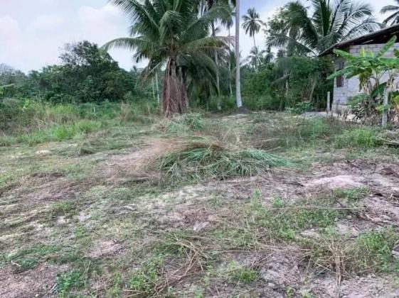Diwulapitiya, Puwakgarawatta 15 perches Land for sale
