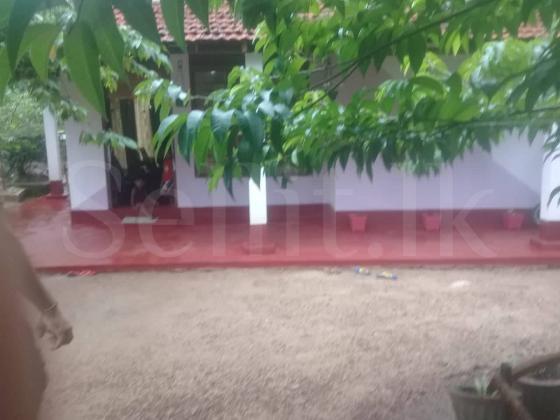 Gampaha, Diwulapitiya 3 bedrooms House with 12.5 perches Land for sale