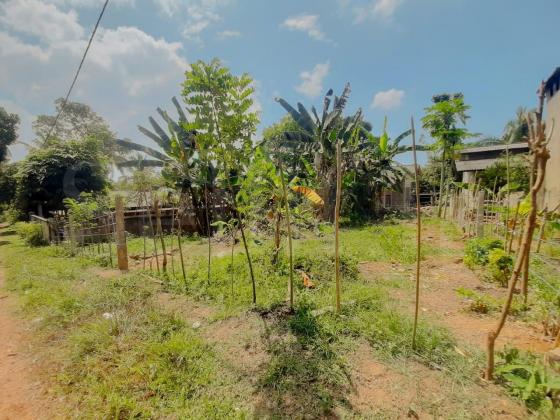 Land for sale in Kalutara