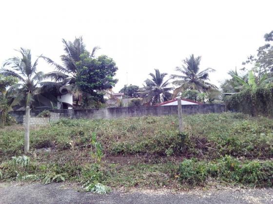 Land for sale in Kalutara Nagashandiya
