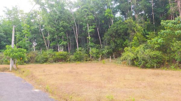Land for sale in Kiriwaththuduwa