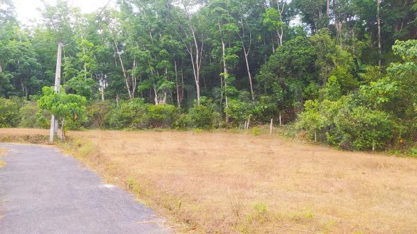 Land for sale in Kiriwaththuduwa