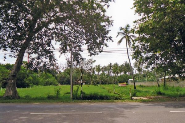 Land for sale in Pambala (Chilaw)