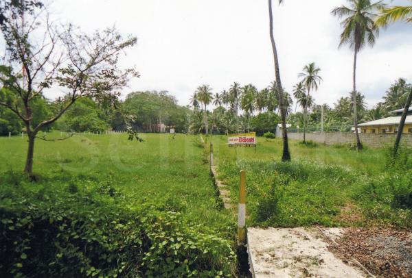 Land for sale in Pambala (Chilaw)