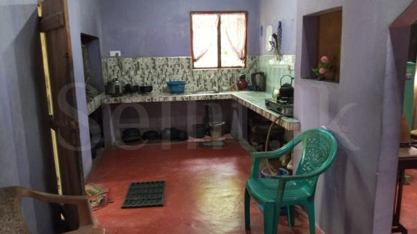 Negombo, Dagonna 4 Bedrooms House with 34 perches Land for sale