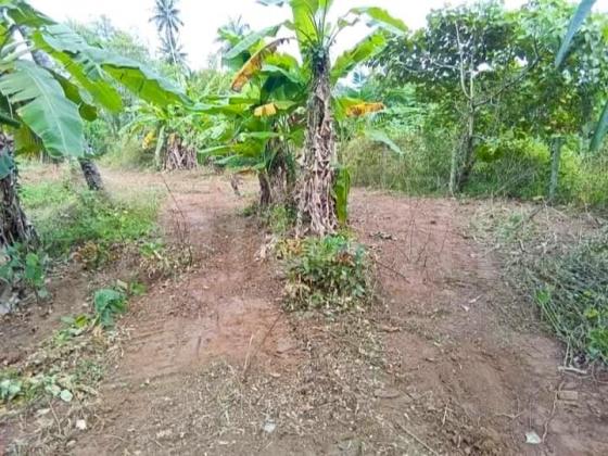 Negombo, Kochchikade 1 acre & 25 perches Land for sale