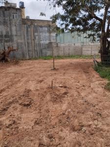 25p Land for sale in Embilipitiya-Udagama