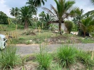 Diwulapitiya, Puwakgarawatta 15 perches Land for sale