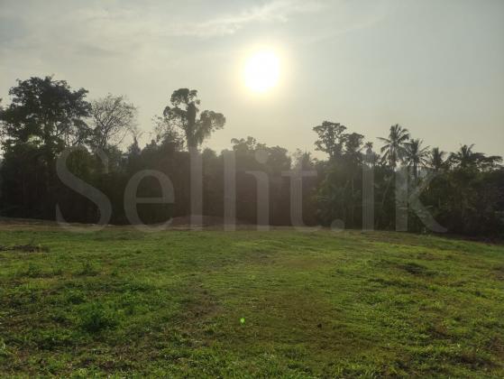 Land for sale horana