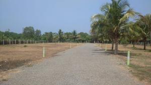 Land for sale in kandana