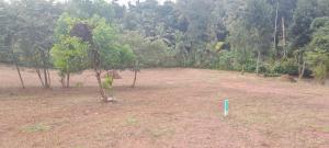 Available land for sale in bandaragama