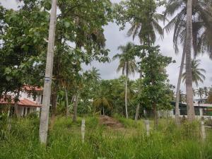 Land for sale In Negombo